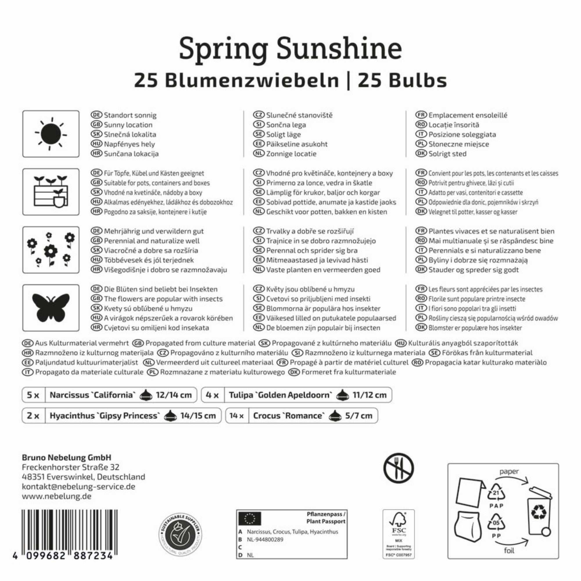 Kiepenkerl Blumenzwiebelmischung "Spring Sunshine", Mega-Pack