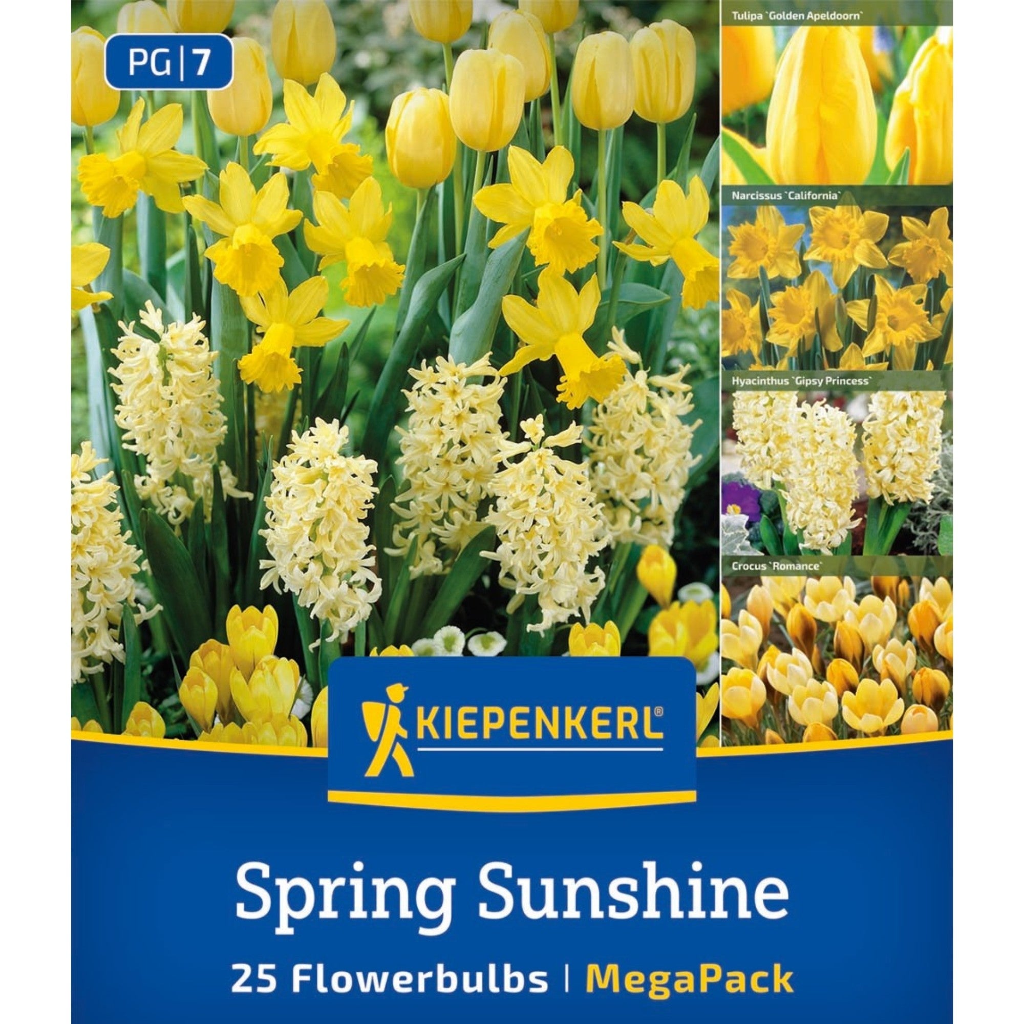 Kiepenkerl Blumenzwiebelmischung "Spring Sunshine", Mega-Pack