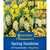 Kiepenkerl Blumenzwiebelmischung "Spring Sunshine", Mega-Pack