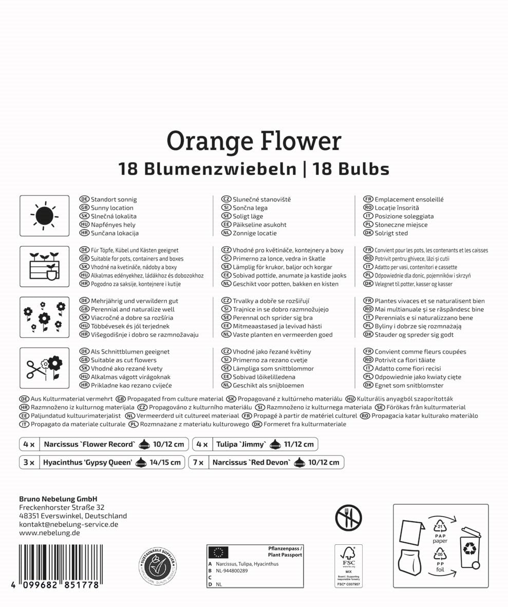 Kiepenkerl Blumenzwiebelmischung "Orange Flower", Mega-Pack