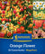 Kiepenkerl Blumenzwiebelmischung "Orange Flower", Mega-Pack