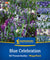 Kiepenkerl Blumenzwiebelmischung "Blue Celebration", Mega-Pack