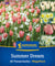 Kiepenkerl Blumenzwiebelmischung "Summer Dream", Mega-Pack