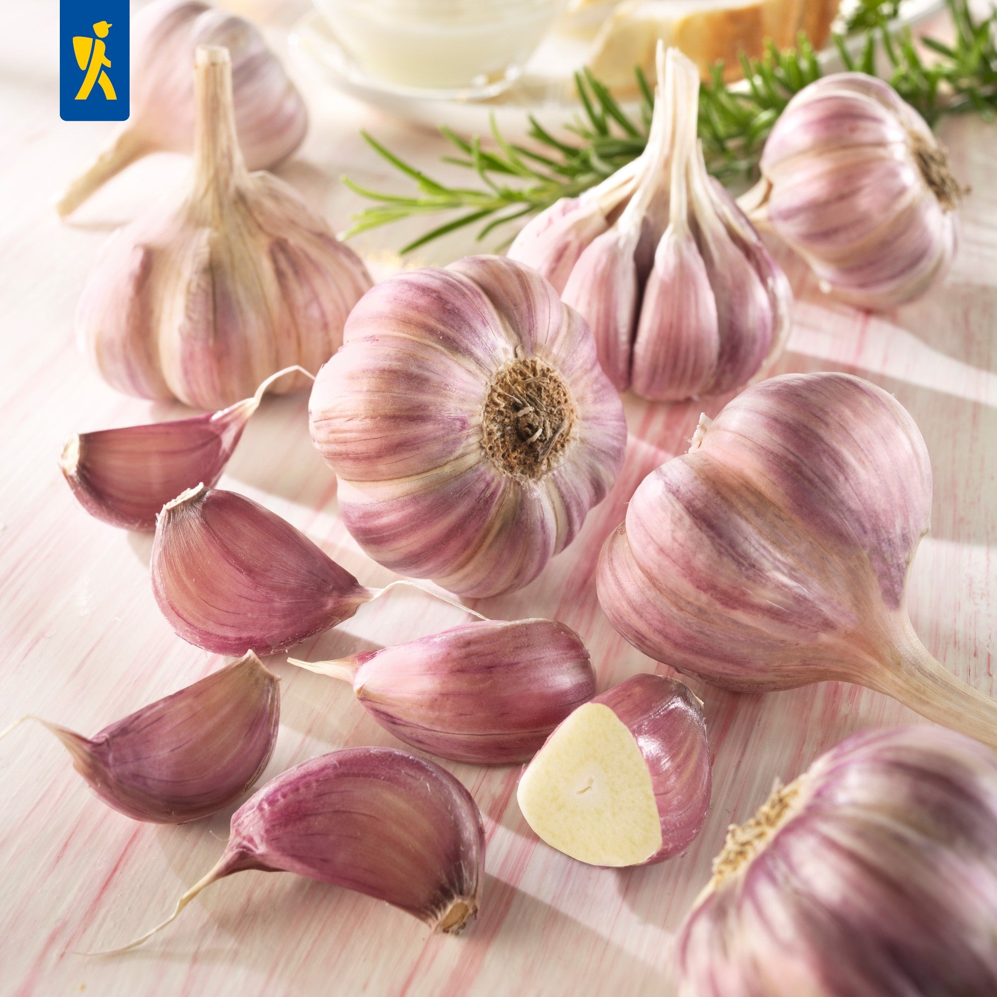 Kiepenkerl Winterknoblauch 'Germidour'