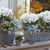 Balkonblumen "Weißer Herbstzauber"