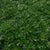 Andenpolster