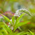 Schnee-Felberich