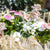 Balkonblumen "Zarte Frühblüher"