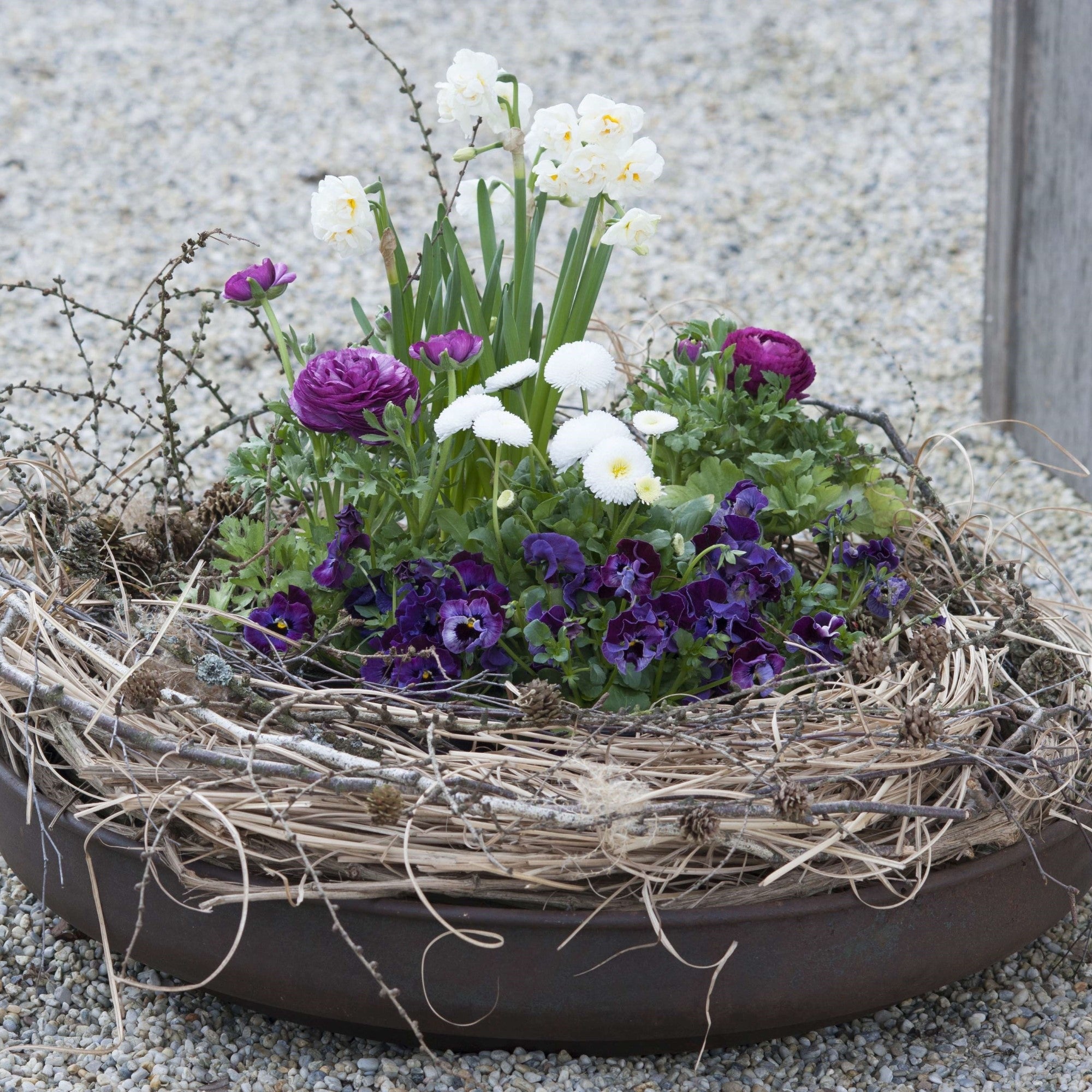 Balkonblumen "Vielseitige Blütenfreude"