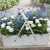 Balkonblumen "Frühlingstraum in Blau & Weiß"
