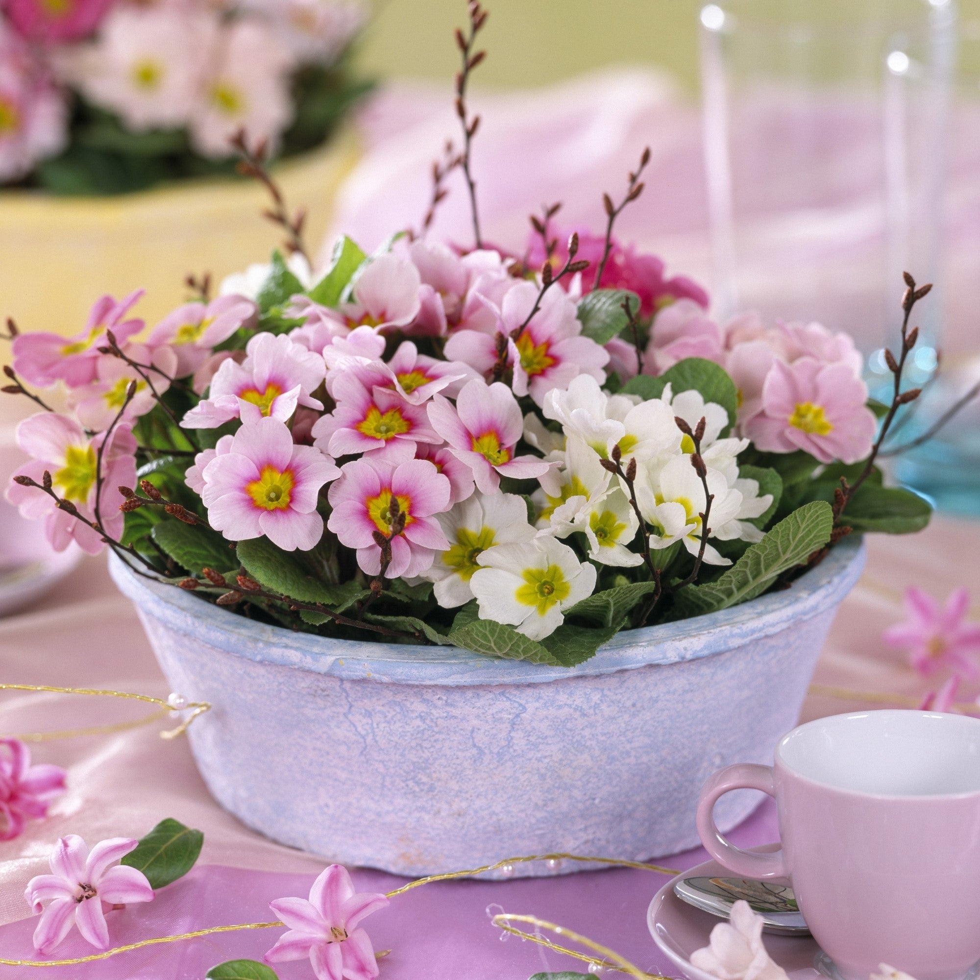 Balkonblumen "Frühlingspracht in zarten Tönen"