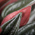 Pfefferpflanze 'Rosso'