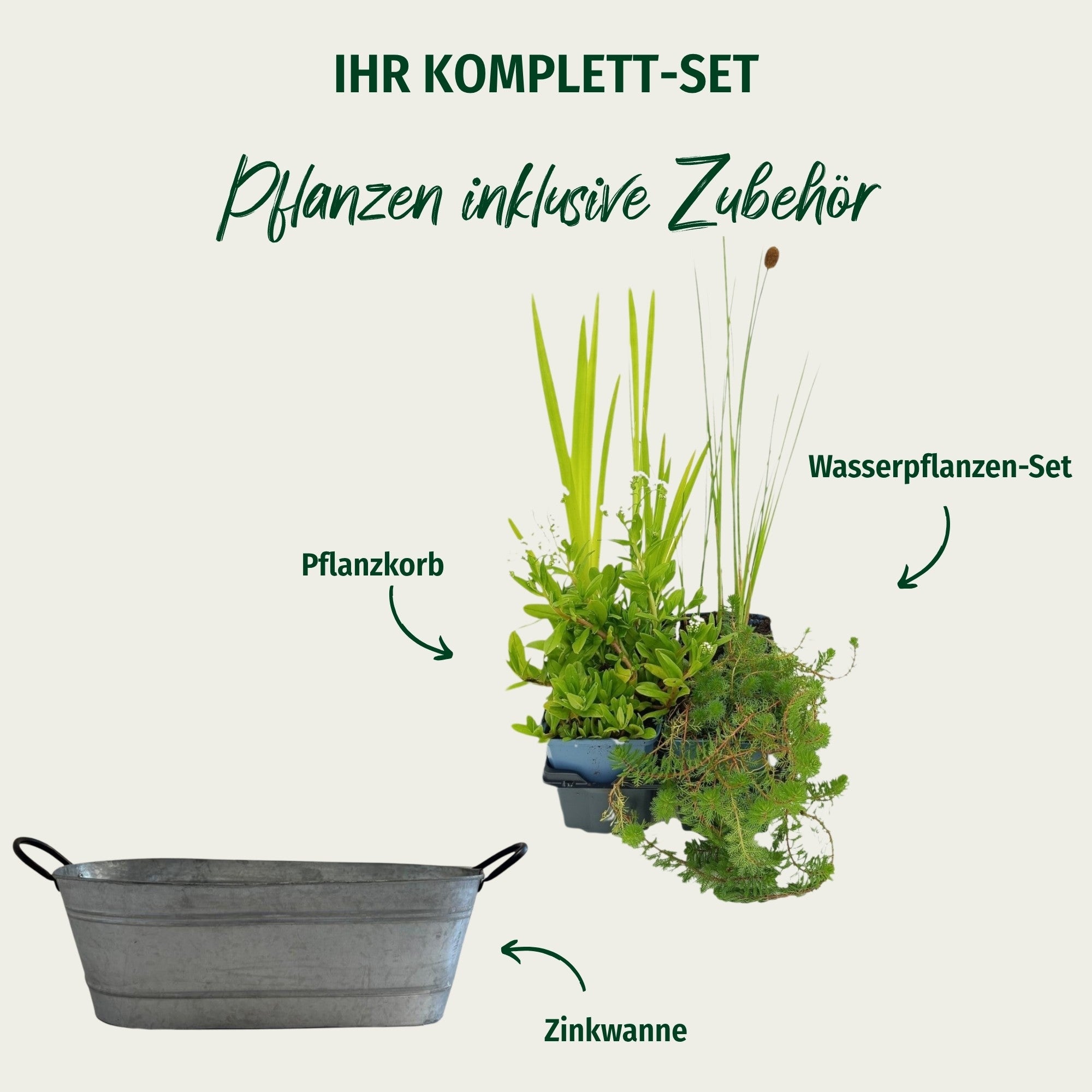 Miniteich in ovaler Zinkwanne
