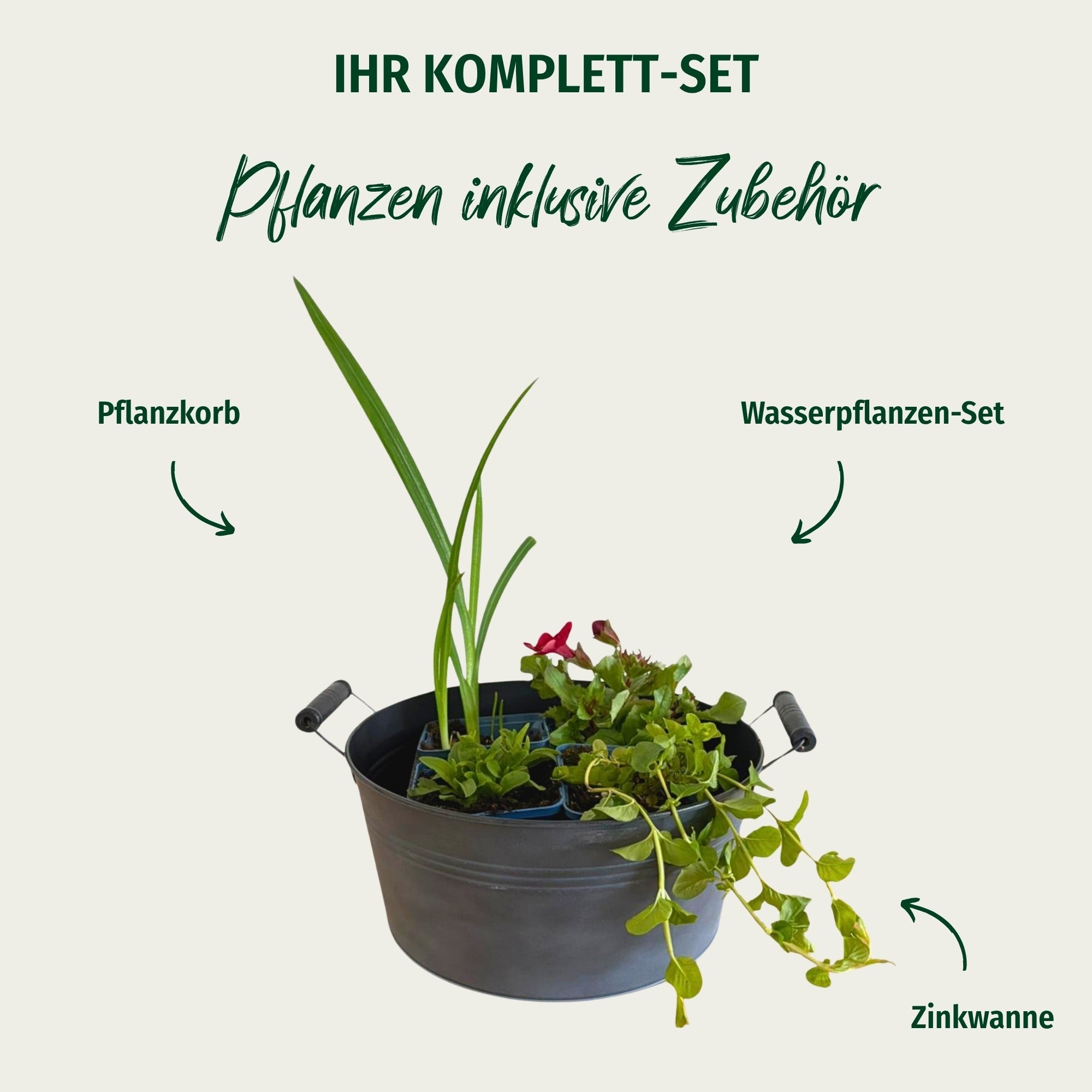 Miniteich mit Zinkwanne "Blühende Teichidylle“