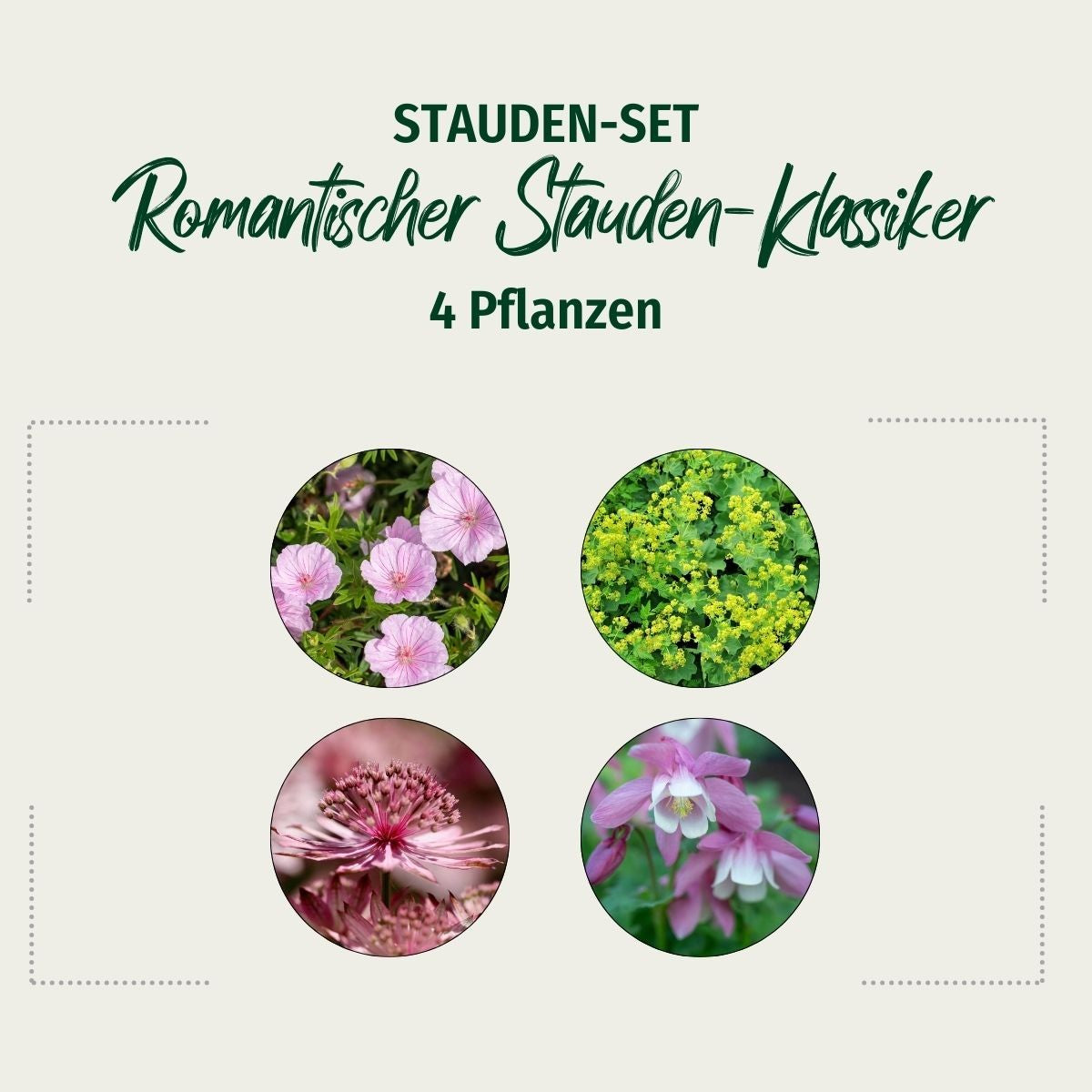 Stauden-Set "Romantischer Stauden-Klassiker"