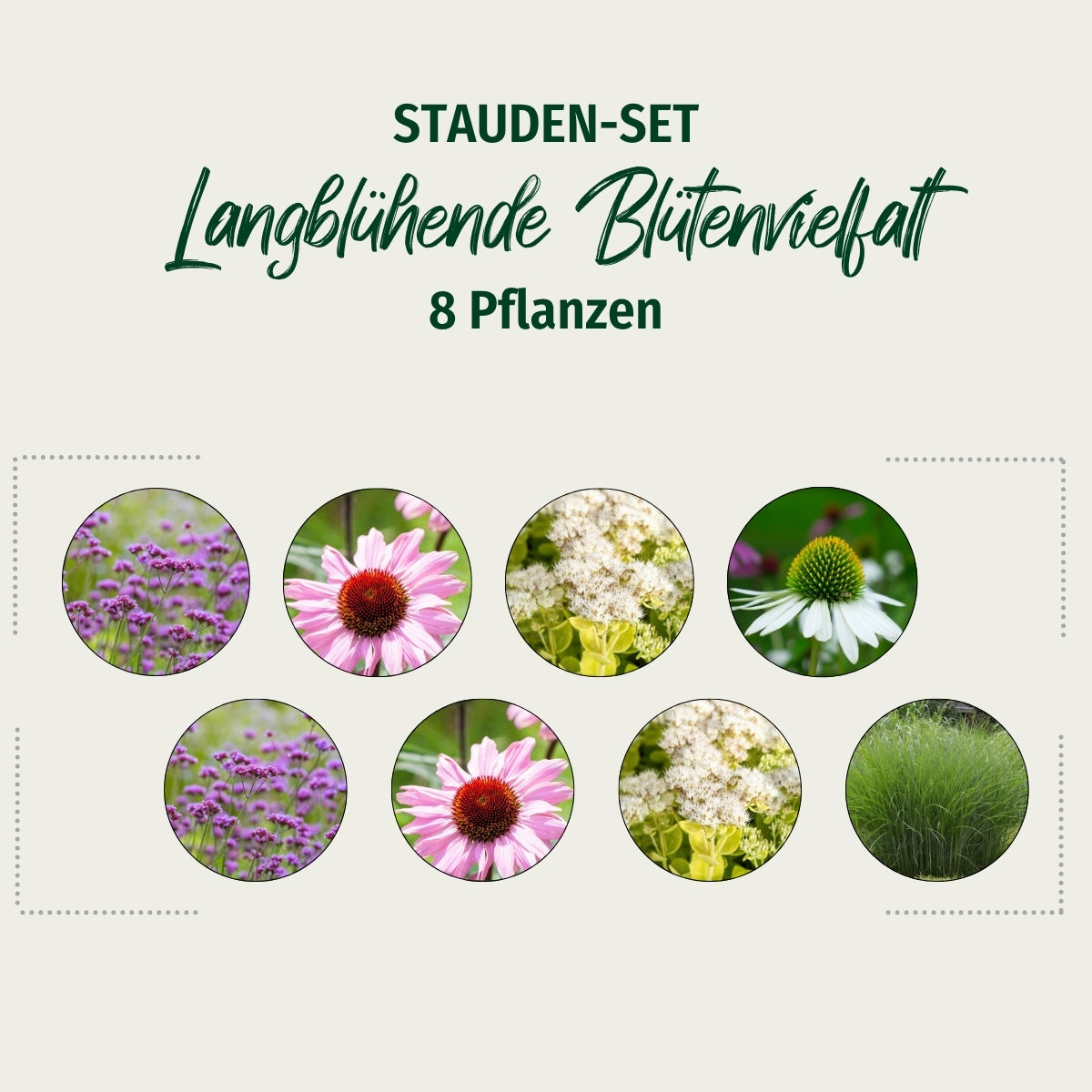 Stauden-Set "Langblühende Blütenvielfalt"