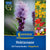 Kiepenkerl Blumenzwiebelmischung "Nektaroase", Mega-Pack
