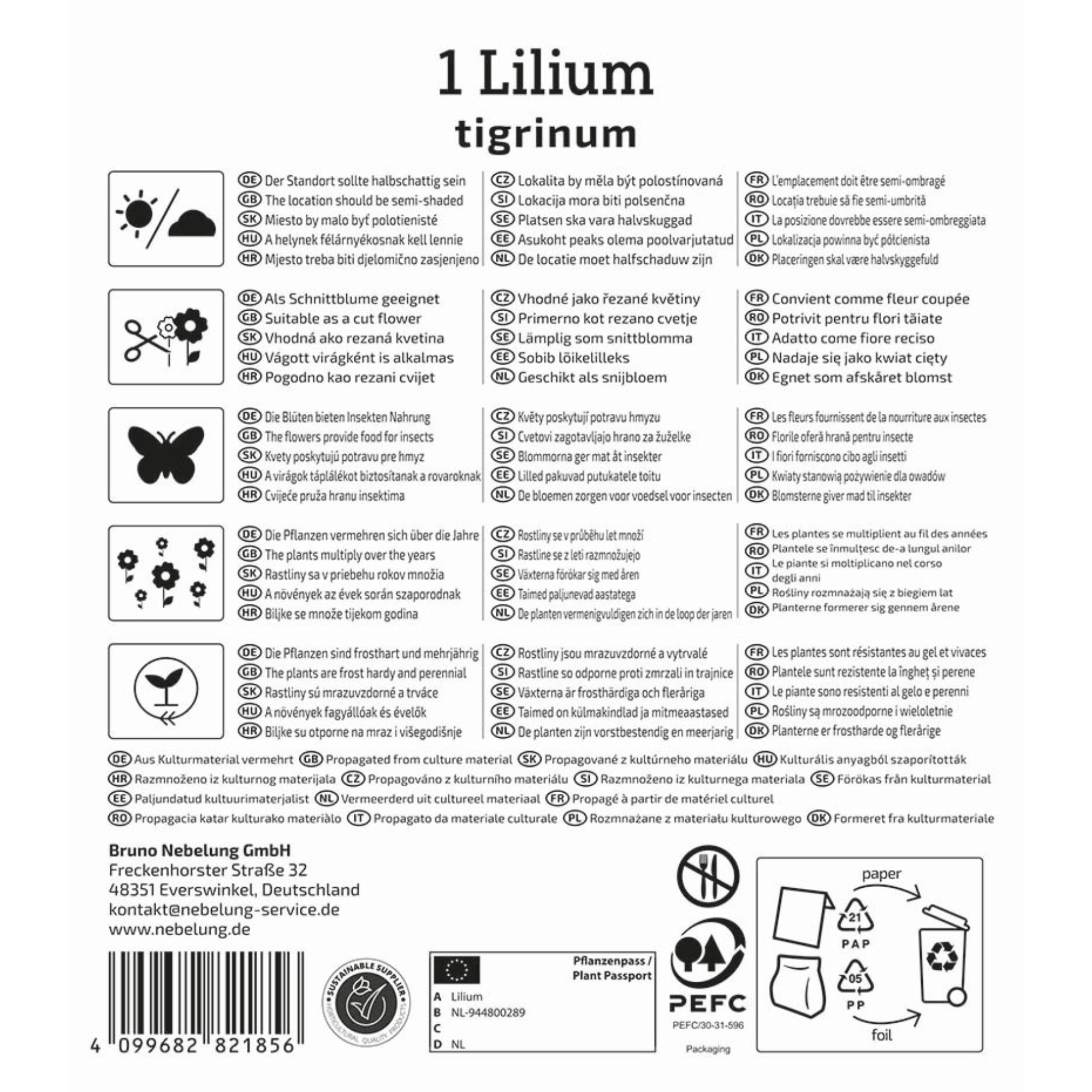 Kiepenkerl Tigerlilie