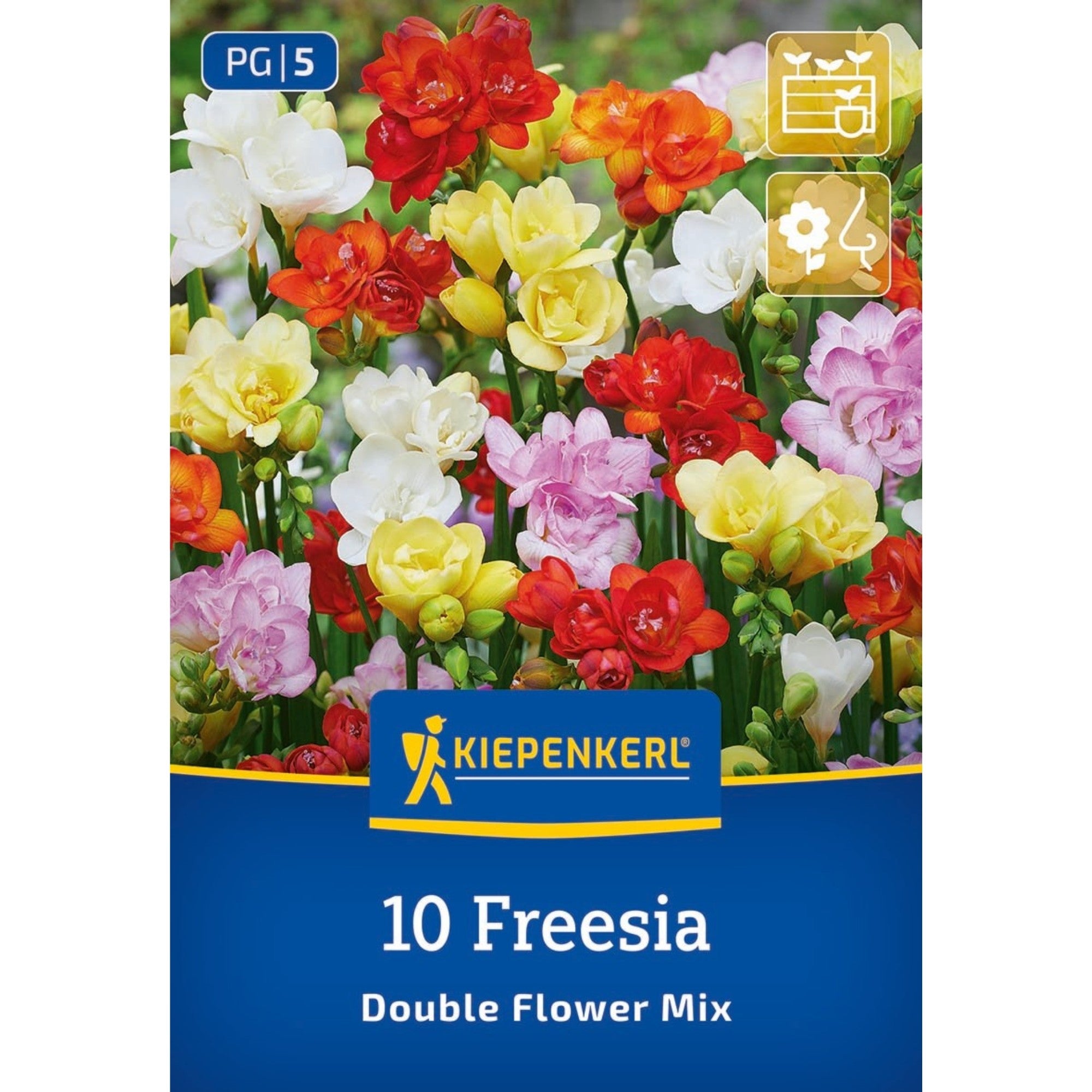 Kiepenkerl Freesien "Double Flower Mix"