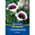 Kiepenkerl Calla 'Vermeer'