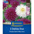 Kiepenkerl Dahlien Duo