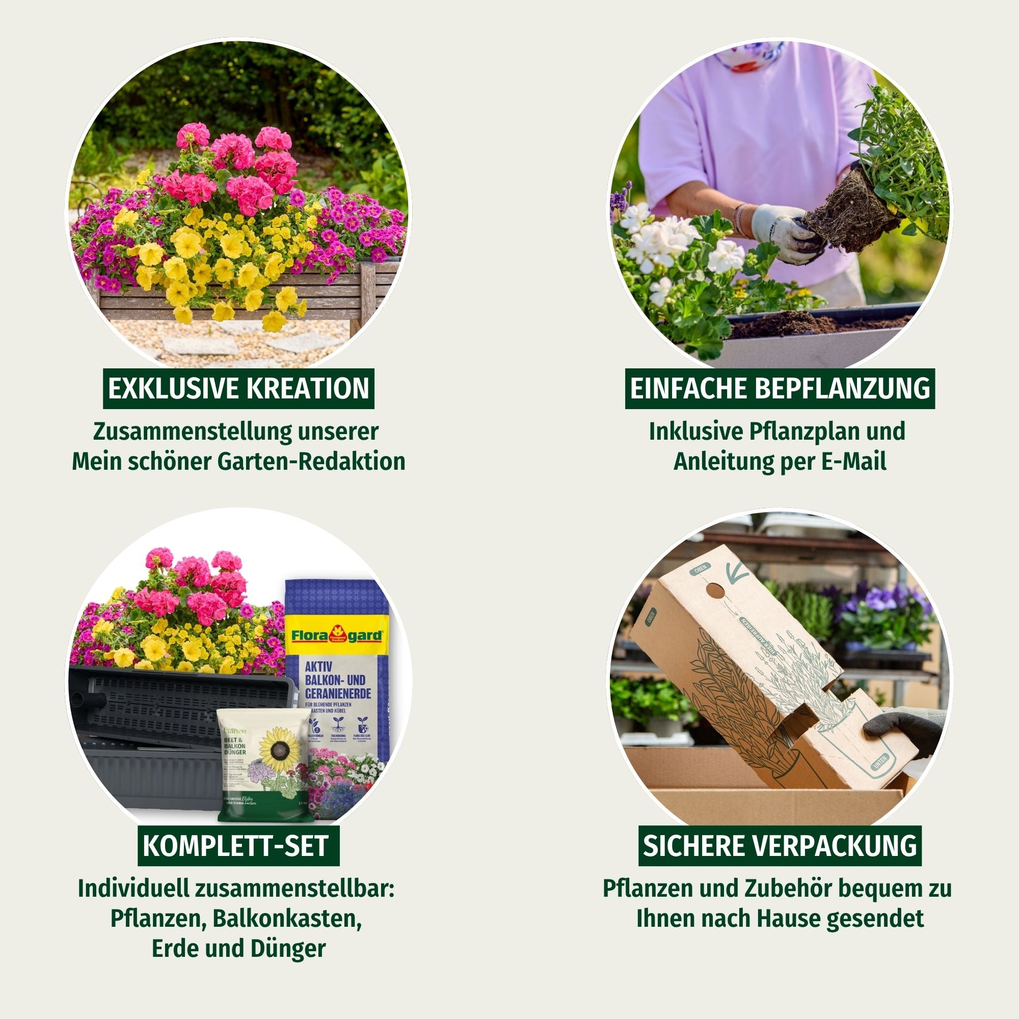 Balkonblumen "Endlose Blütenoase“