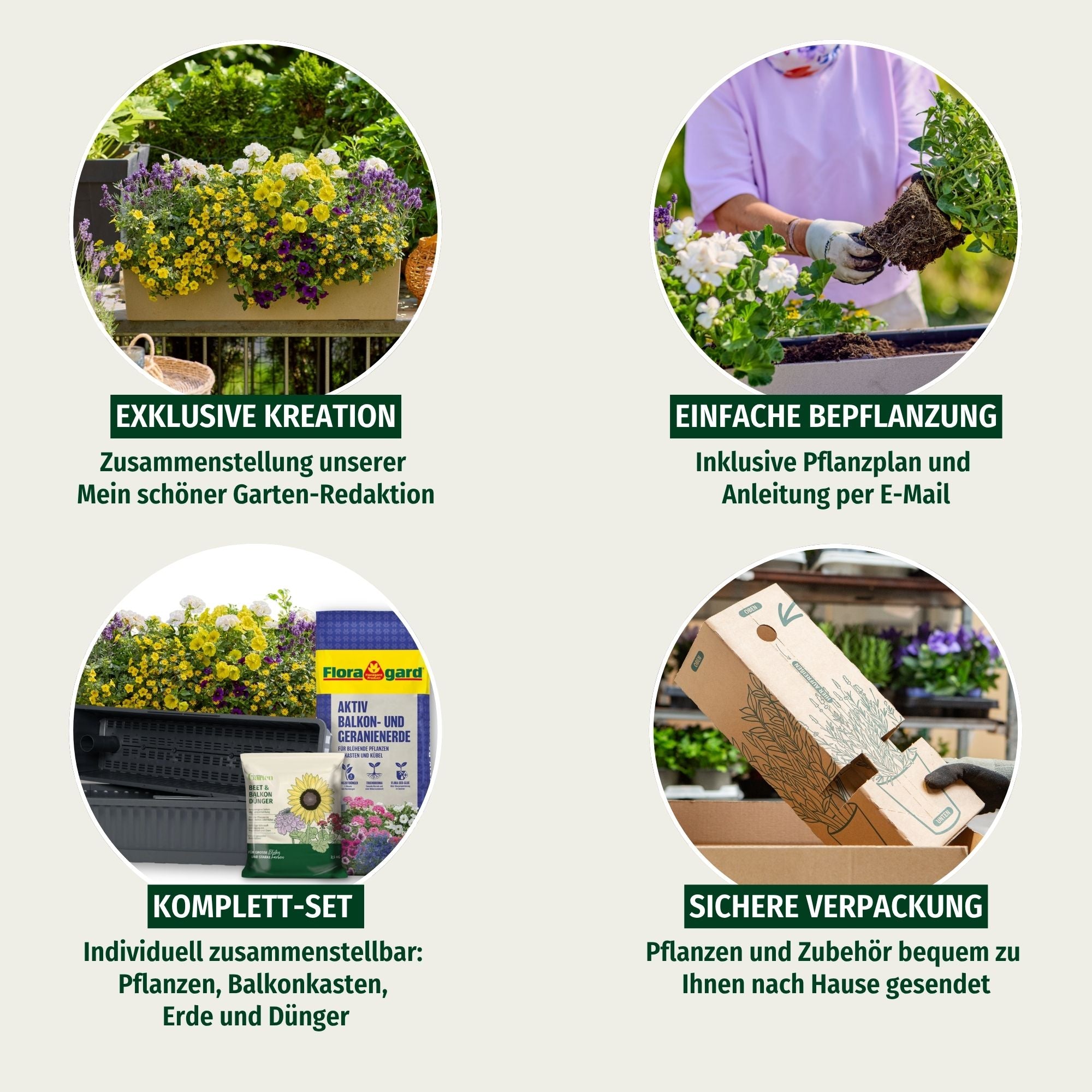 Balkonblumen "Hitzeverträgliche Blütenfreude"