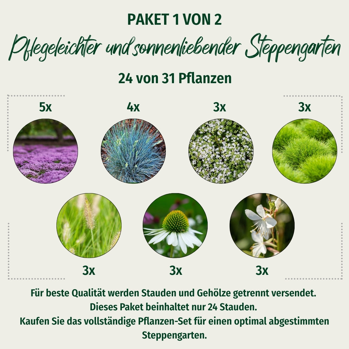Paket 1 von 2 "Pflegeleichter und sonnenliebender Steppengarten"