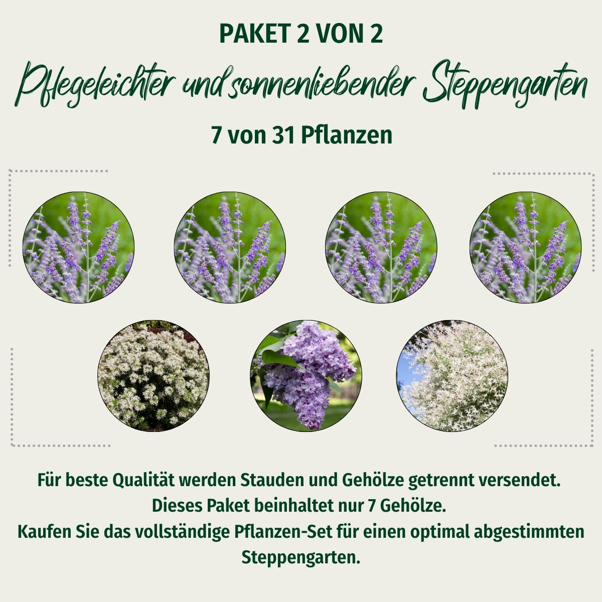 Paket 2 von 2 "Pflegeleichter und sonnenliebender Steppengarten"
