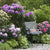 Rhododendronbeet "Blütenstarke Rhododendren für halbschattige Gärten"