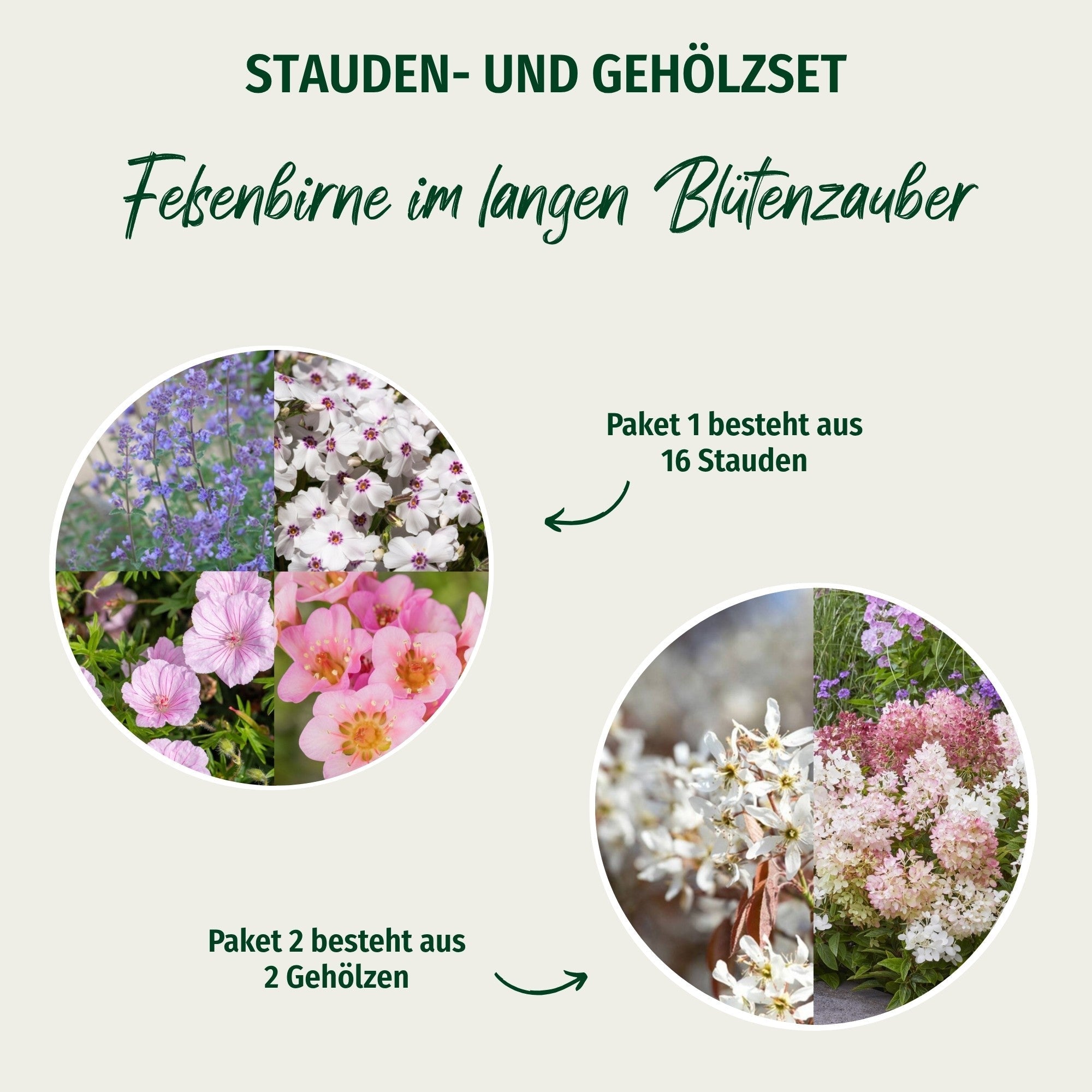 Pflanzen-Set "Felsenbirne im langen Blütenzauber"