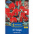 Kiepenkerl Wildtulpe 'Red Hunter'