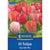 Kiepenkerl Darwin-Hybrid-Tulpe "Van Eijk Mix"