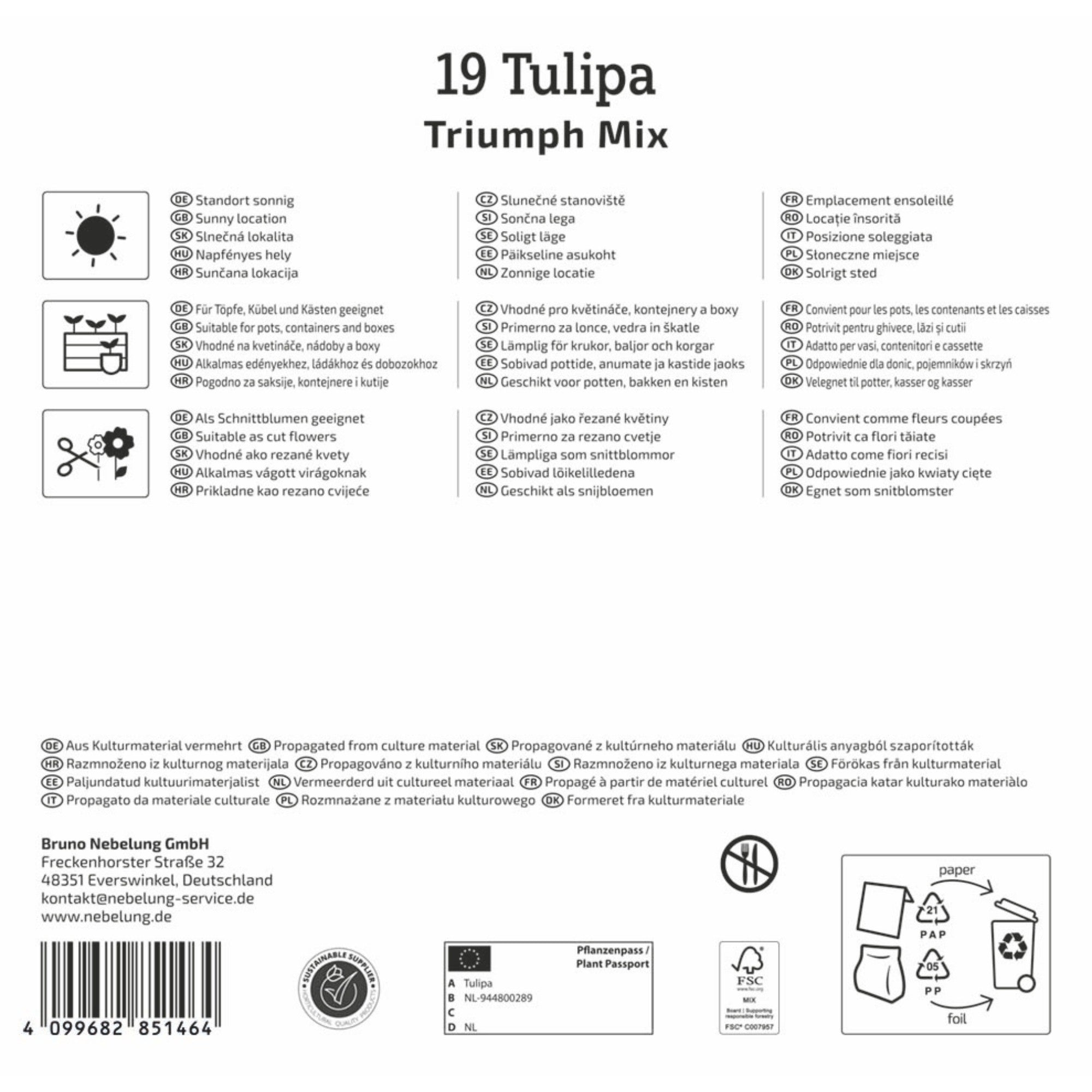 Kiepenkerl Triumph-Tulpen Mischung, Mega-Pack