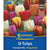 Kiepenkerl Triumph-Tulpen Mischung, Mega-Pack