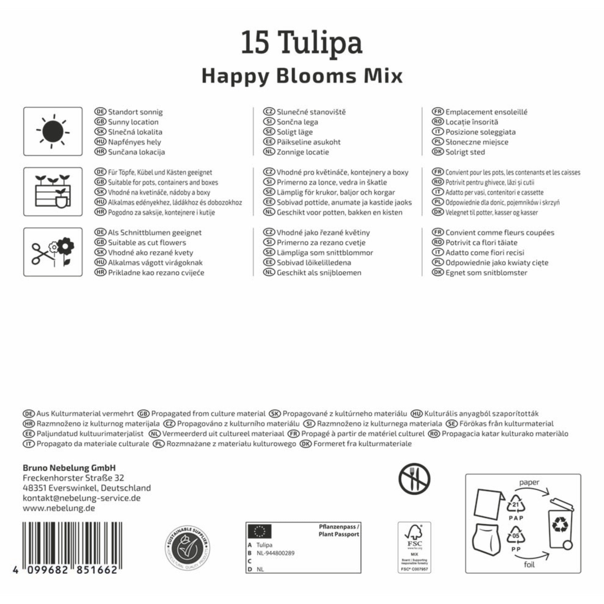 Kiepenkerl Tulpenmischung "Happy Bloom Mix", Mega-Pack