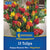 Kiepenkerl Tulpenmischung "Happy Bloom Mix", Mega-Pack