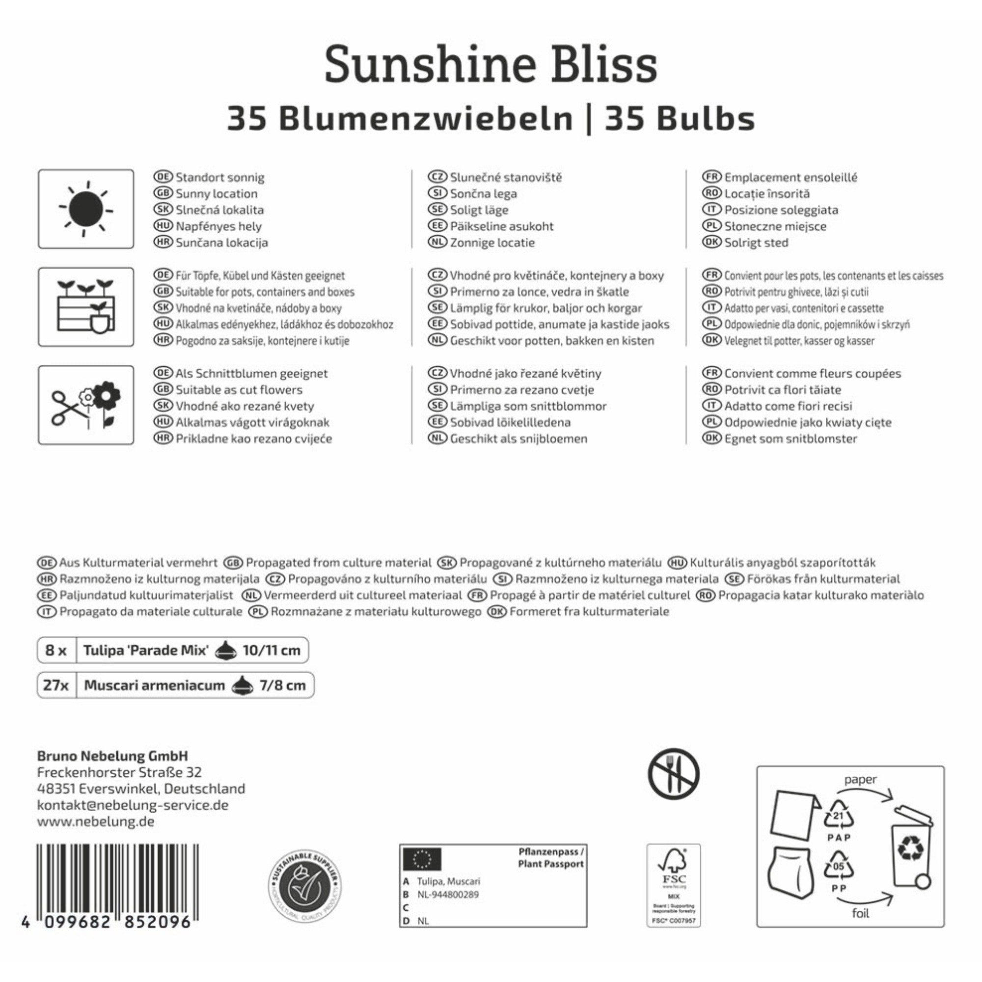 Kiepenkerl Blumenzwiebelmischung "Sunshine Bliss Mix", Mega-Pack