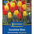 Kiepenkerl Blumenzwiebelmischung "Sunshine Bliss Mix", Mega-Pack