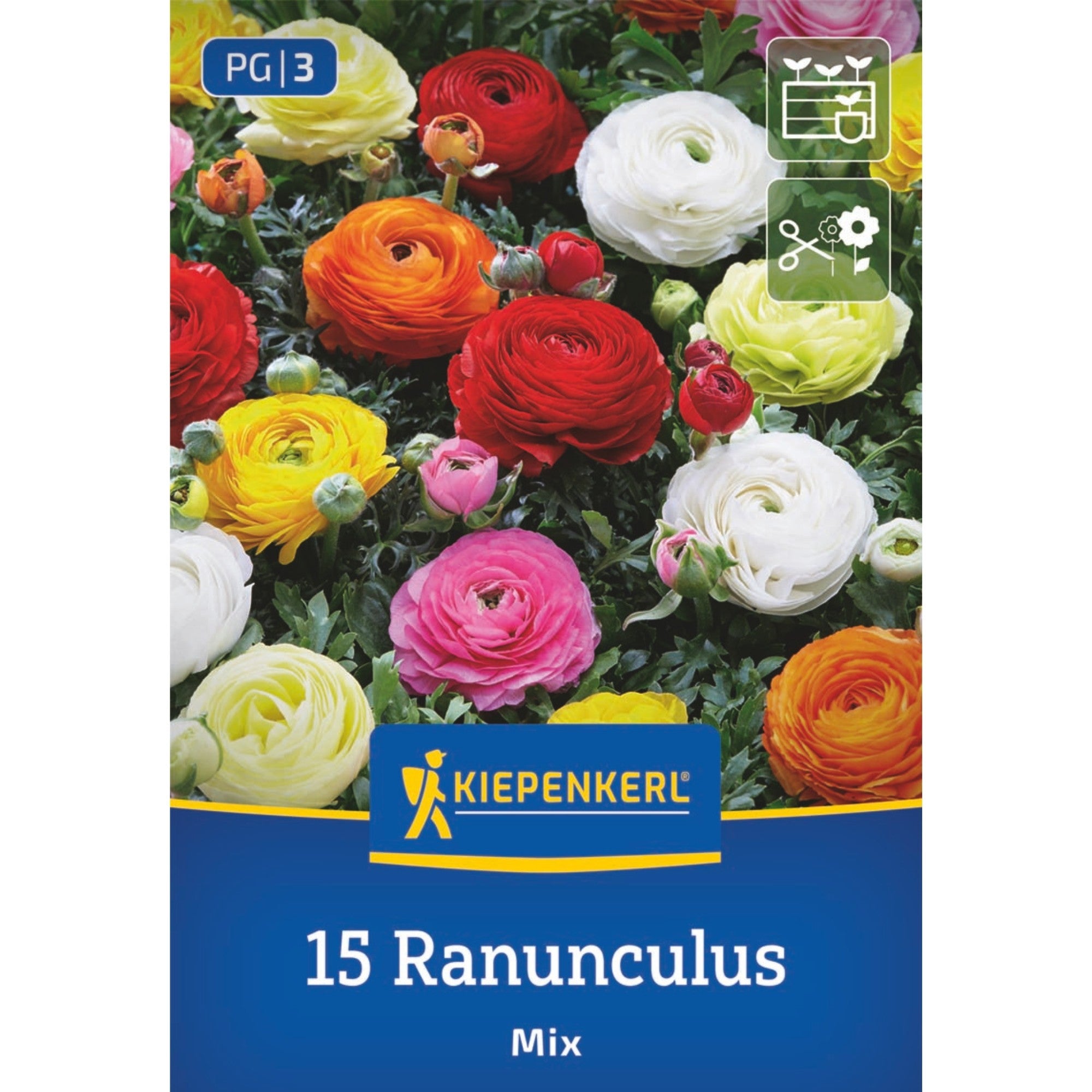 Kiepenkerl Ranunkel Mischung