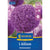 Kiepenkerl Zierlauch 'Ambassador', Profi-Line
