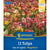 Kiepenkerl Einfache Späte Tulpe 'Sea of Lights', Mega-Pack