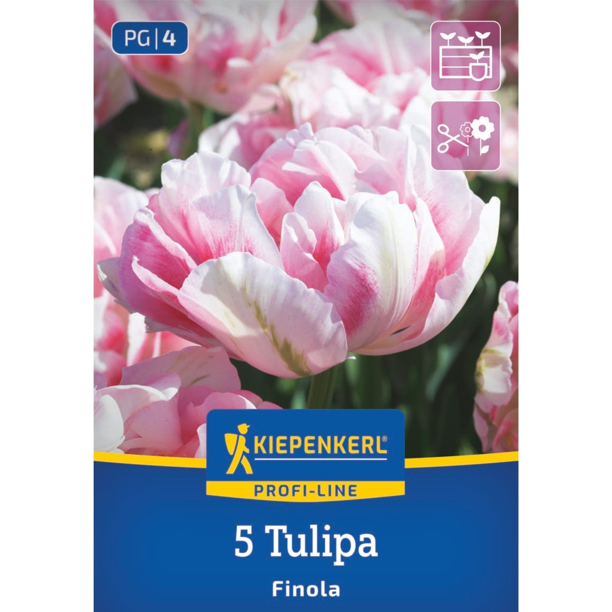 Kiepenkerl Blumenzwiebelmischung Lasagne-Mix "Königliche Frühlingspracht"