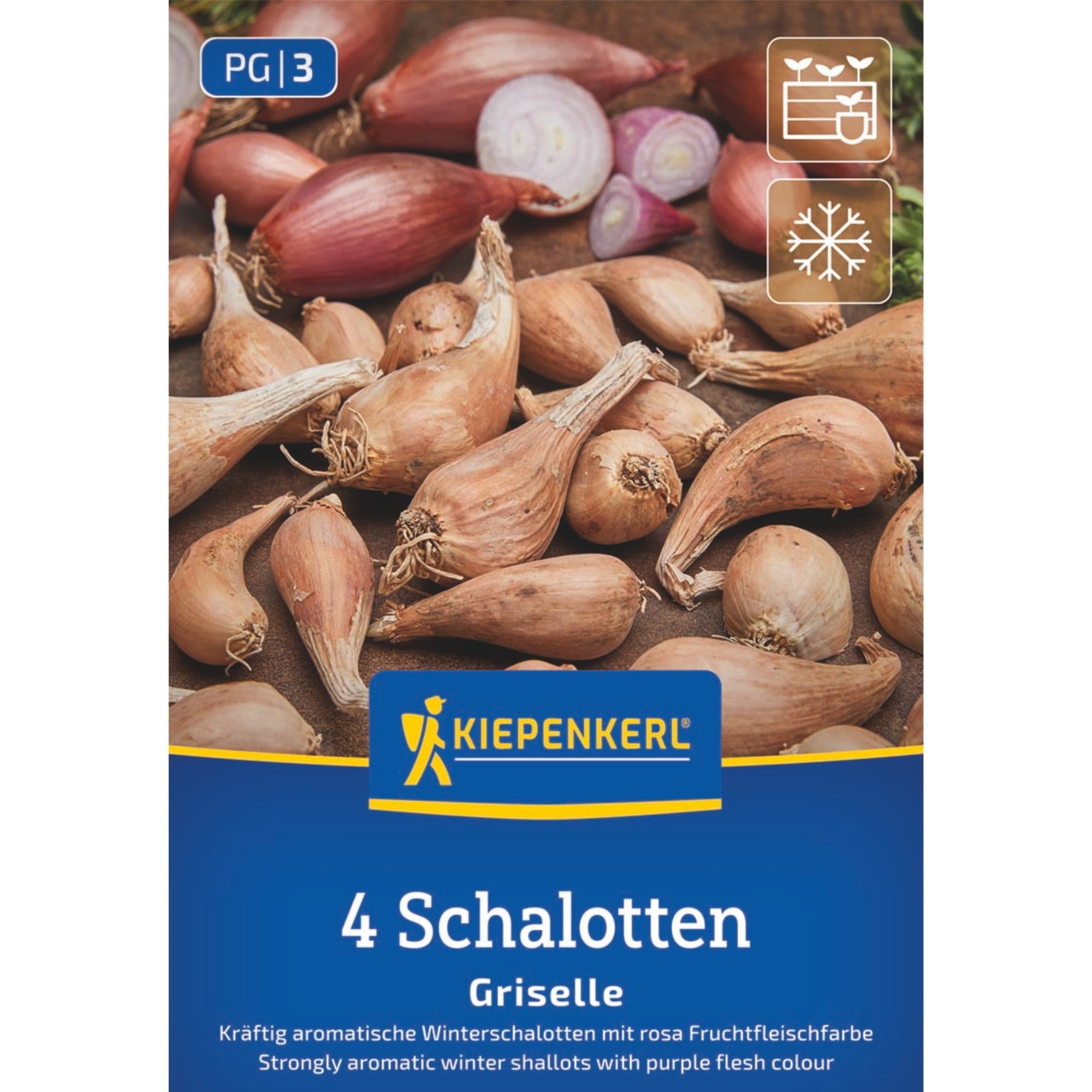Kiepenkerl Winterschalotte 'Griselle'