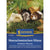 Kiepenkerl Meerschweinchen-Wiese Grünfutter-Pflanzen