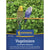 Kiepenkerl Vogelmiere