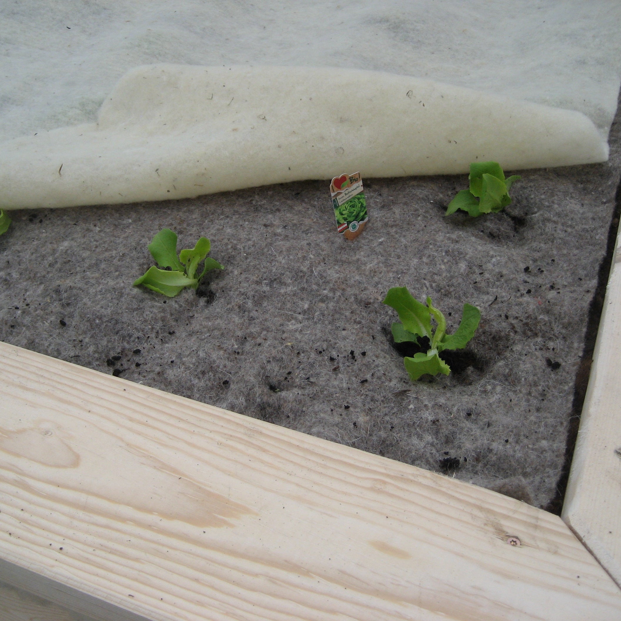 GardenWool Frostschutzmatte