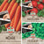 SPERLI Samen-Set "Gemüsevielfalt- Easy Gardening"