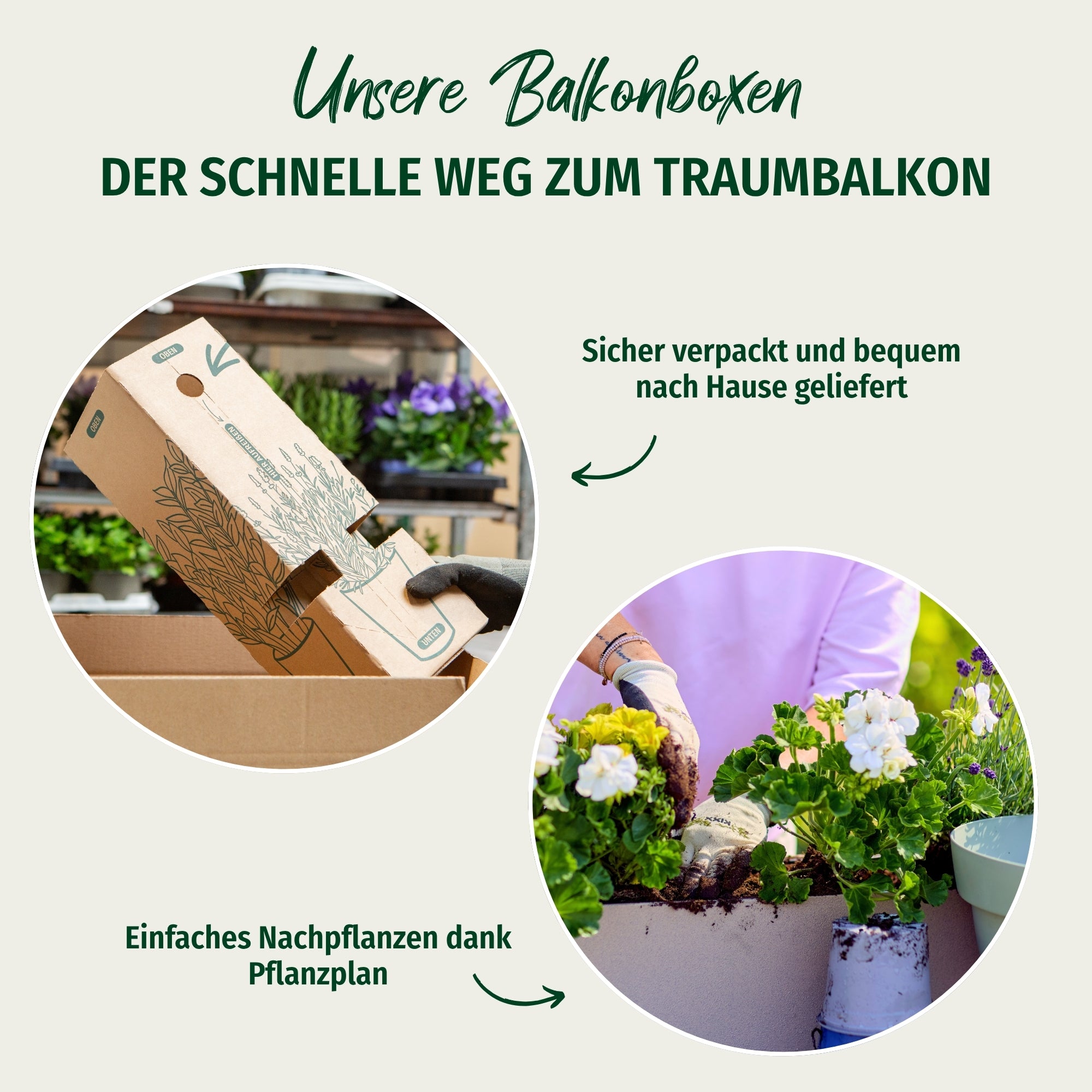 Balkonblumen "Herbstliches Farbenspiel"