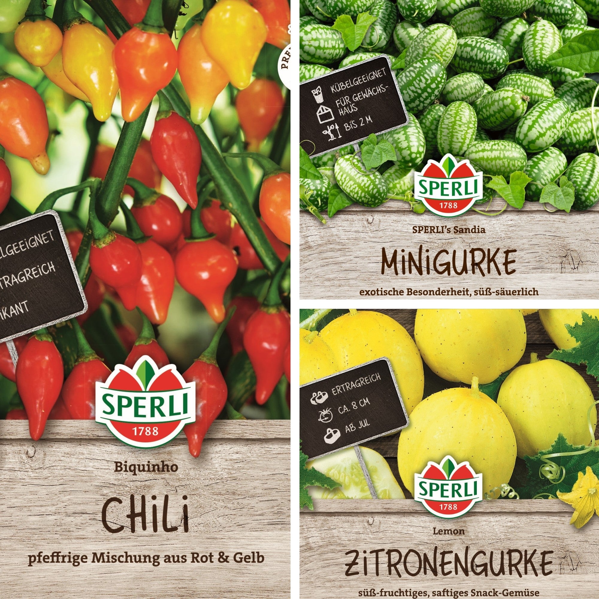 SPERLI Samen-Set "Exotischer Gemüsetraum"